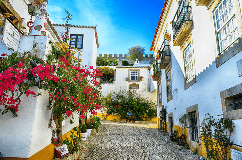 from-lisbon-fatima-nazare-obidos-private-tour-premium-car