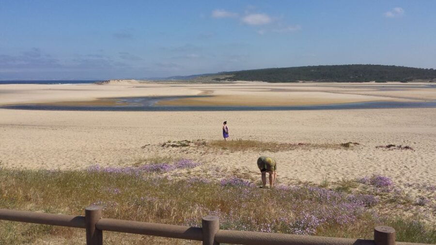 from-lisbon-half-day-arrabida-tour-w-transfers