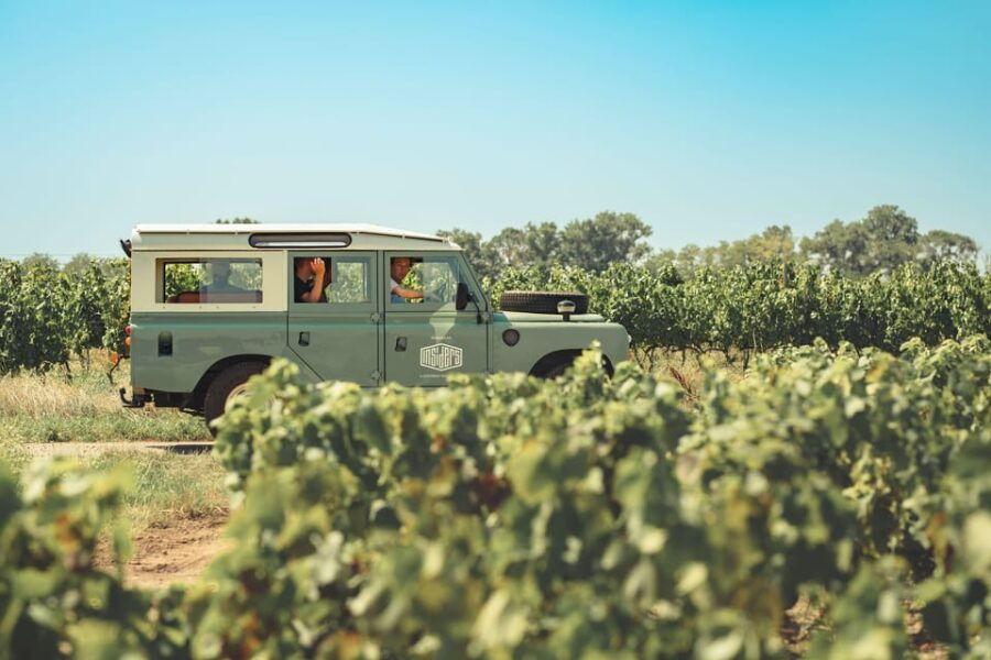 from-lyon-burgundy-private-half-day-tour-by-defender