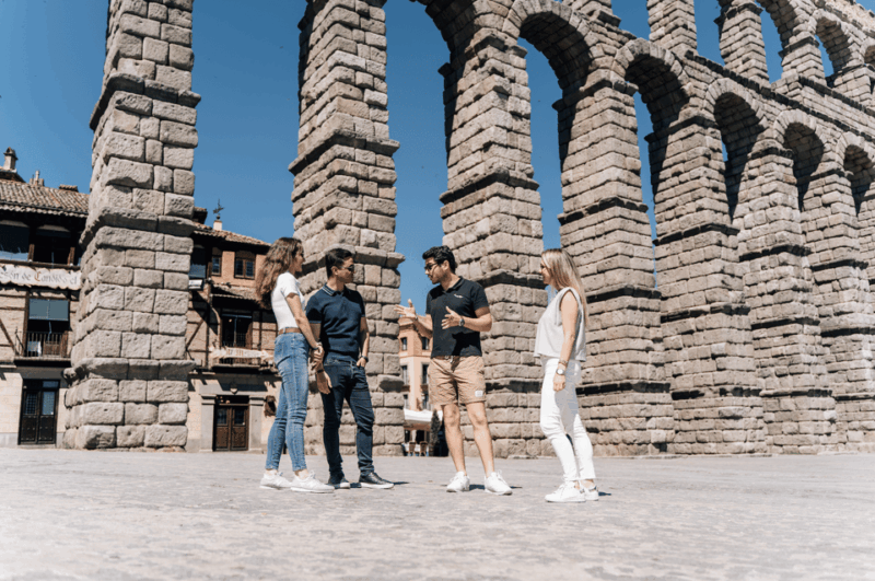 from-madrid-ribera-del-duero-winery-and-segovia-tour