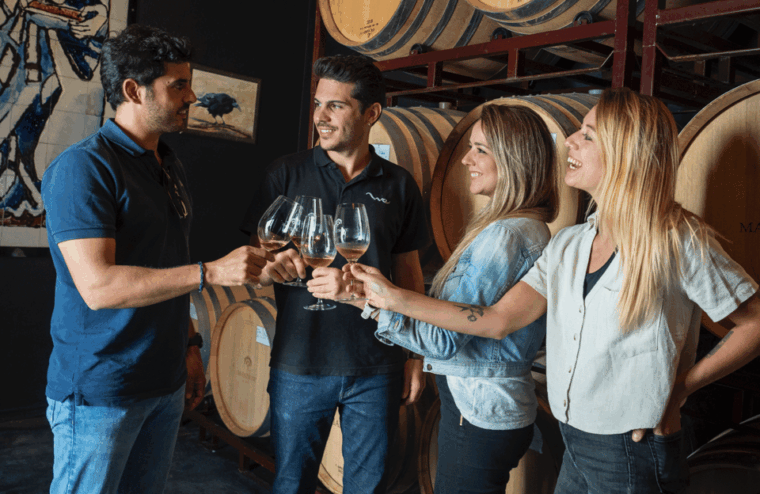 from-madrid-traditional-villages-winery-tour-tapas-lunch