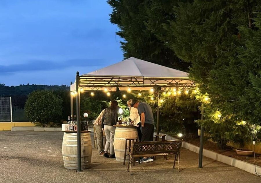 from-matera-half-day-wine-tour-to-ginosa-with-tasting