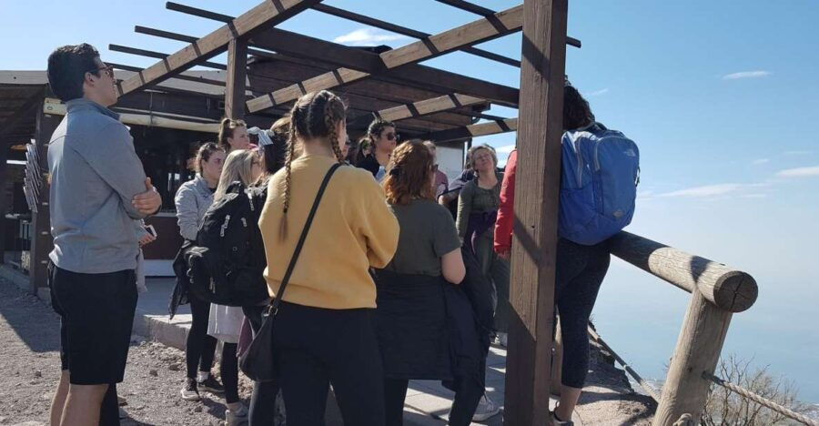 from-naples-day-trip-to-mount-vesuvius-with-alpine-guide