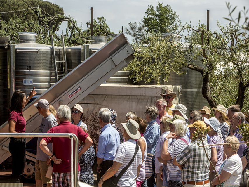 from-naples-pompeii-and-wine-tasting-tour-with-lunch