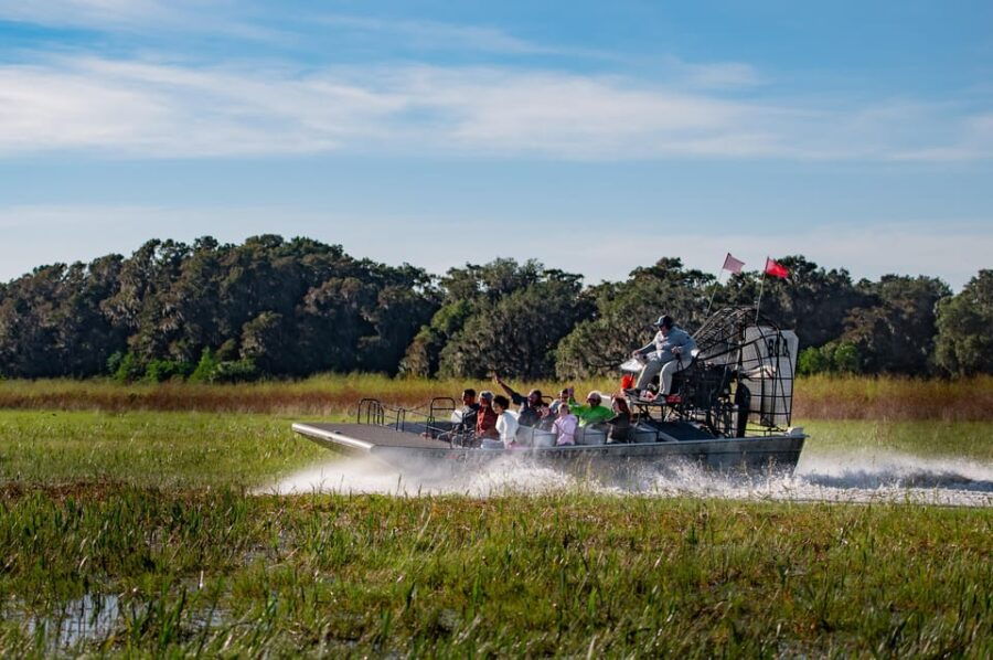 from-orlando-swamp-airboat-ride-and-gatorland-entry