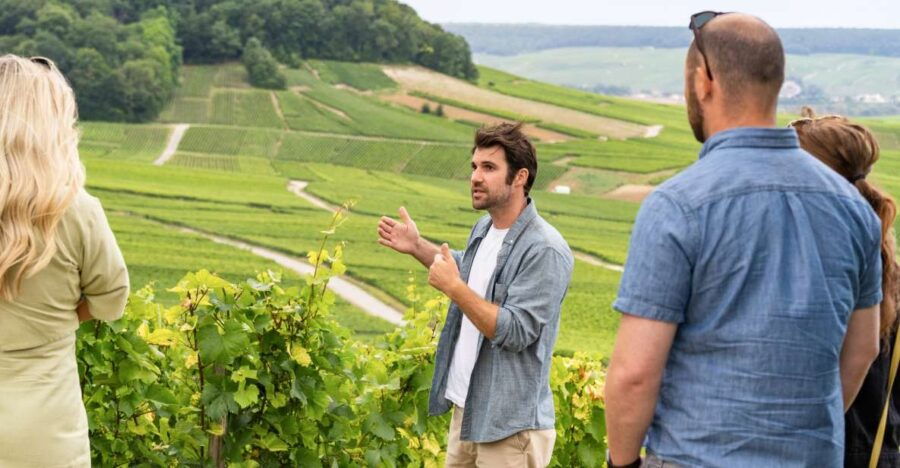 from-paris-day-trip-to-champagne-with-8-tastings-lunch