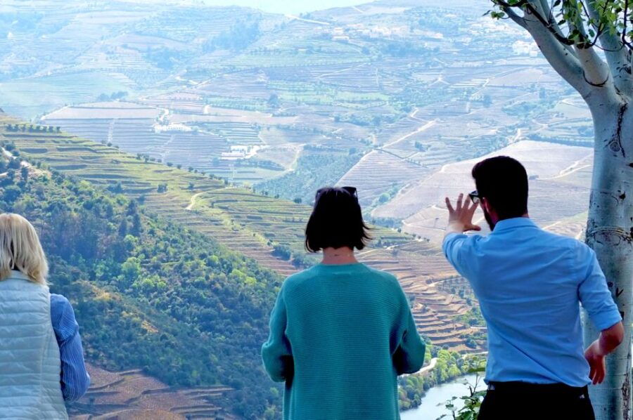 from-porto-douro-valley-wine-tour-with-river-cruise-lunch