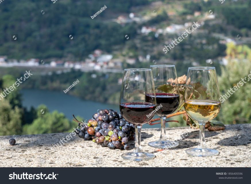 from-porto-full-day-douro-historical-tour