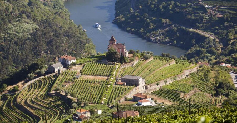 from-porto-premium-douro-valley-small-group-wine-tour