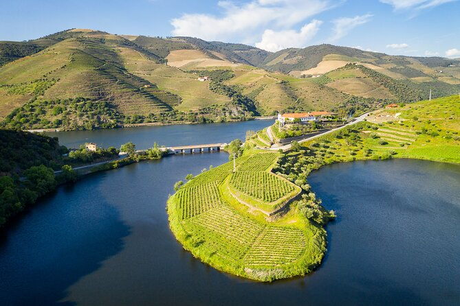 from-porto-private-douro-valley-tour
