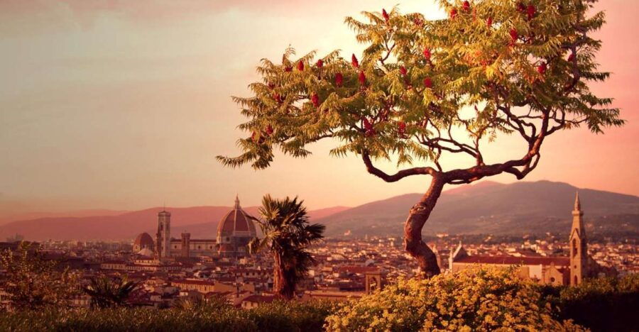 from-rome-day-trip-to-florence-by-high-speed-train