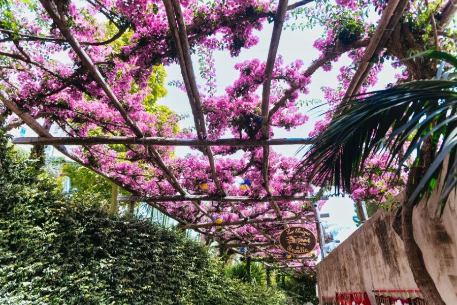 from-rome-pompeii-amalfi-coast-and-positano-day-trip