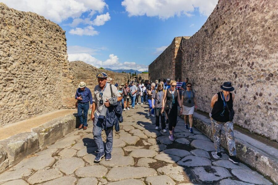 from-rome-pompeii-day-trip-with-guide-or-ticket-only-option