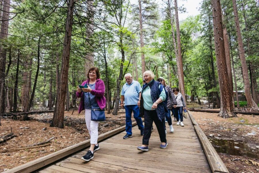 From San Francisco: Yosemite National Park Guided Day Trip