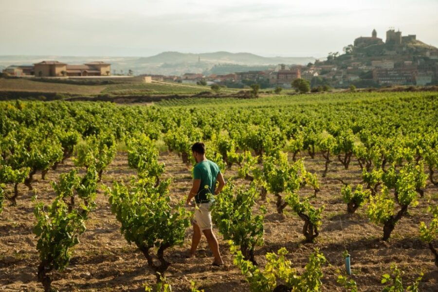 from-san-sebastian-la-rioja-wine-region-day-tour