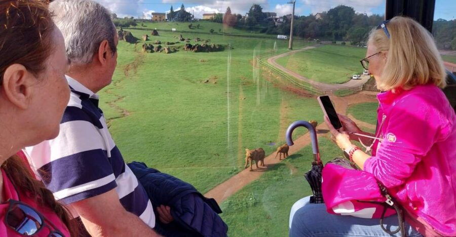 from-santander-cabarceno-natural-park-half-day-trip