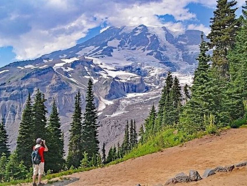 from-seattle-full-day-mt-rainier-national-park-tour