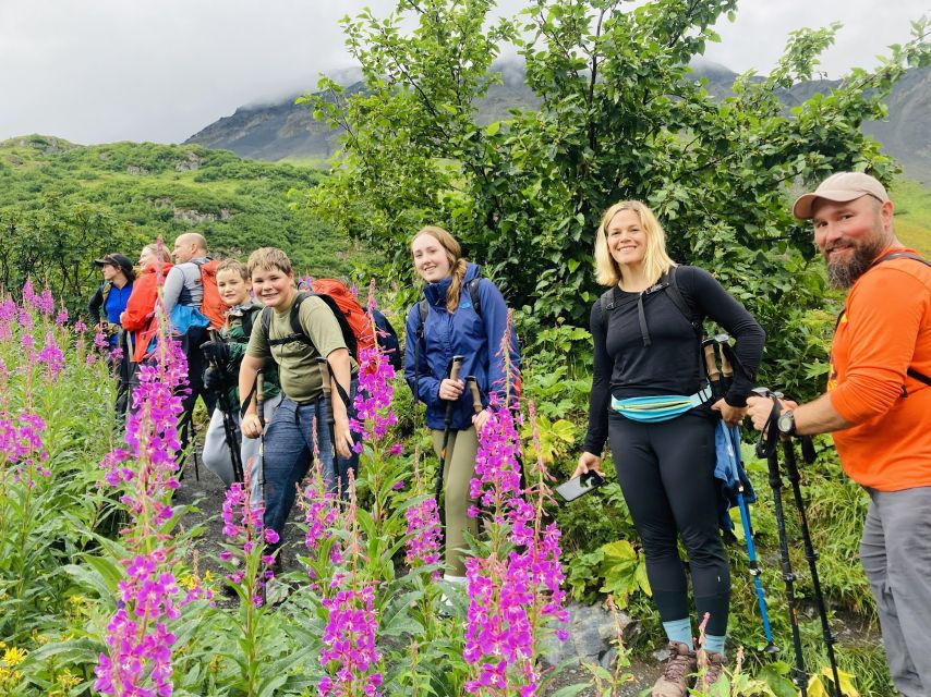 From Seward: 4-hour Wilderness Hiking Tour