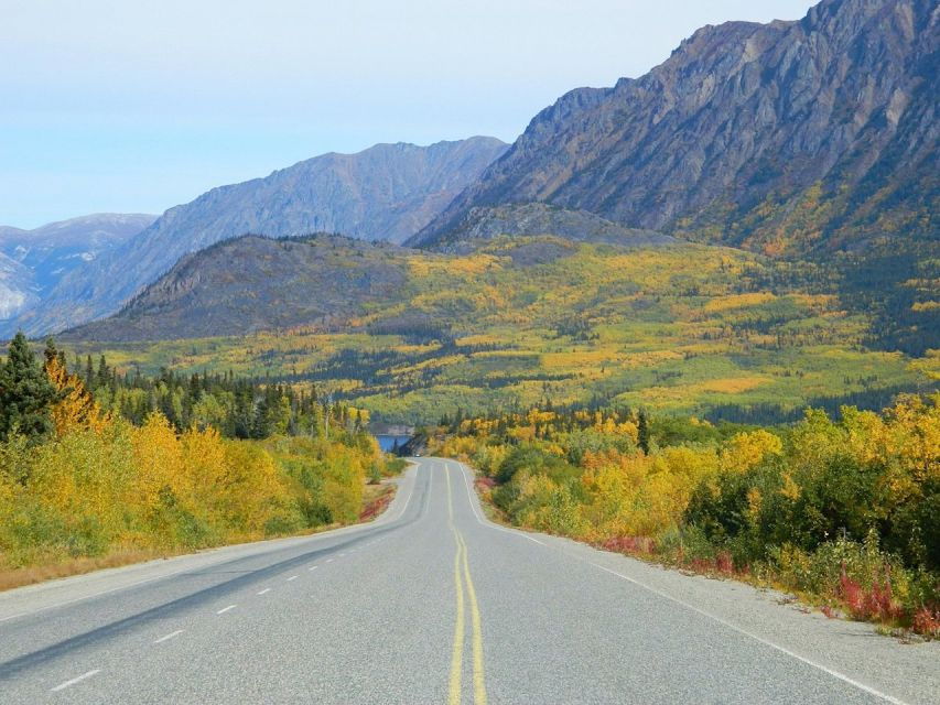 From Skagway: Skagway City & White Pass Summit Guided Tour