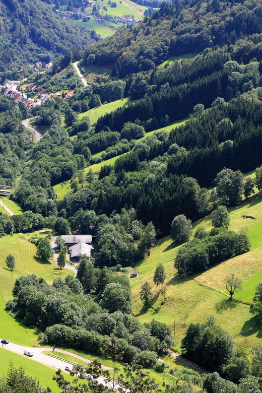 from-strasbourg-black-forest-and-baden-baden-day-trip