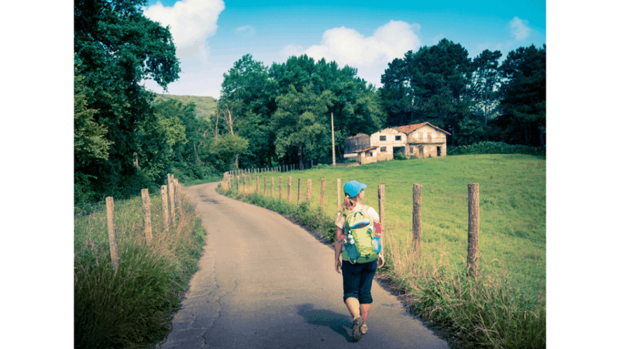 from-tui-9-day-guided-camino-walking-tour-to-santiago