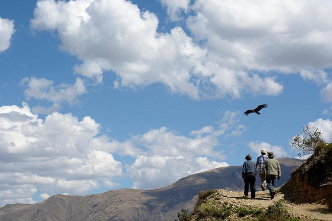 full-day-condor-viewpoint-inca-sites-tour-private-service