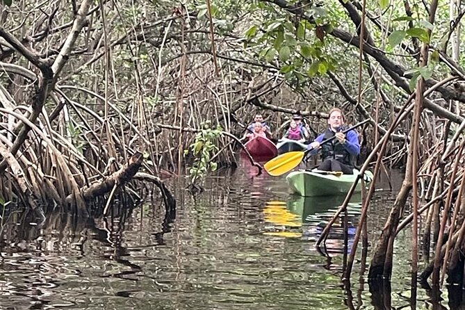 Full Day Everglades Combo Motorboat Eco and Kayak Tour