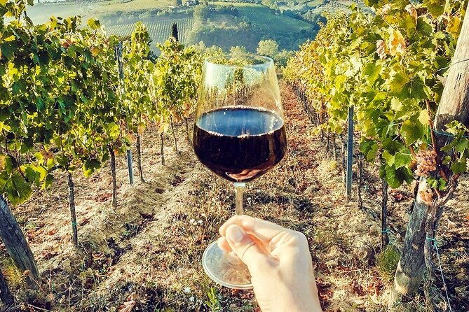 full-day-experience-umbria-wine-tasting-and-spa-relax