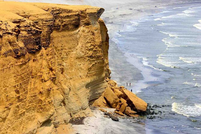 full-day-tour-in-ica-paracas-and-huacachina-from-lima