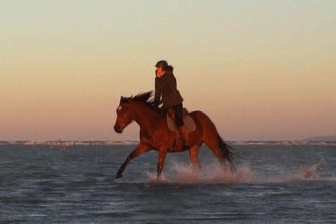 gallop-on-deauville-beach