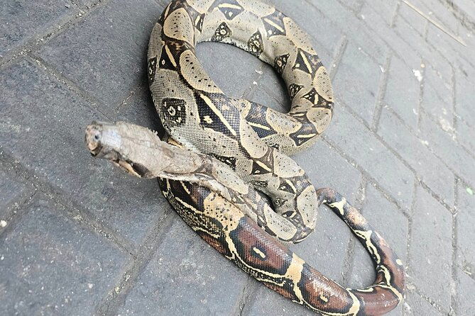 gamarra-bizzare-tour-coca-leaf-reading-with-a-local-shaman