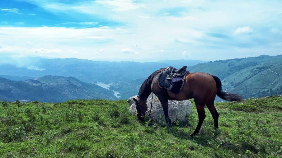 geres-braga-horseback-ride-in-peneda-geres-national-park
