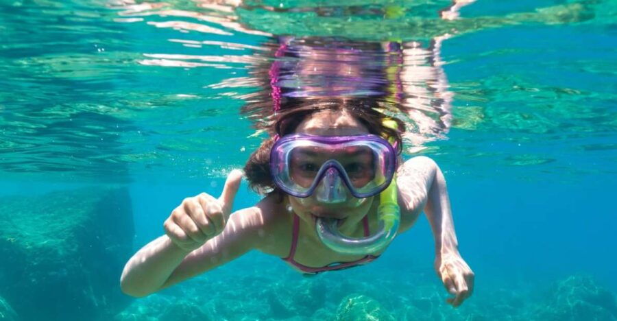 golfo-aranci-dolphin-watching-and-snorkeling-boat-tour