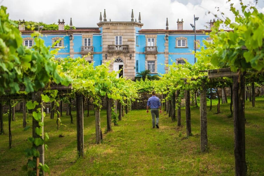 granbazan-winery-guided-tour-and-wine-tasting