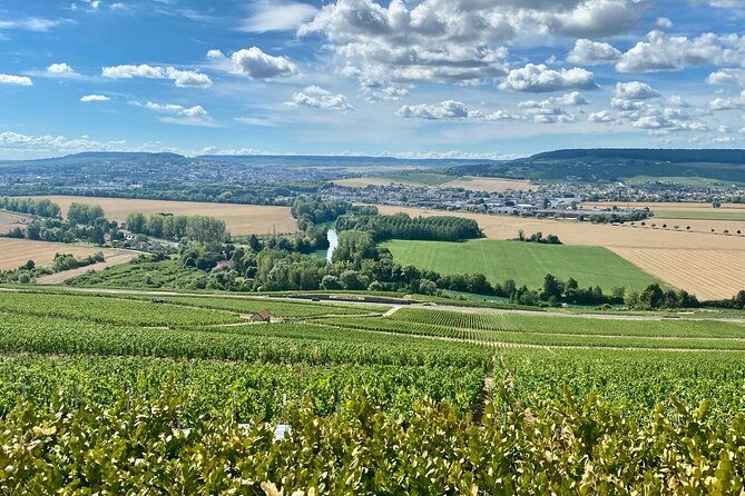 grand-vintage-moet-et-chandon-veuve-clicquot-cellars-tastings