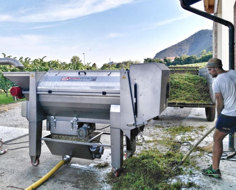 guided-olive-oil-wine-tour-from-padua