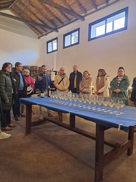 guided-tour-of-chinchon-visit-to-nero-winery-with-wine-tasting