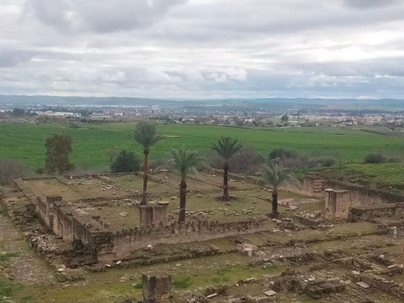 guided-tour-of-medina-azahara-only-in-french