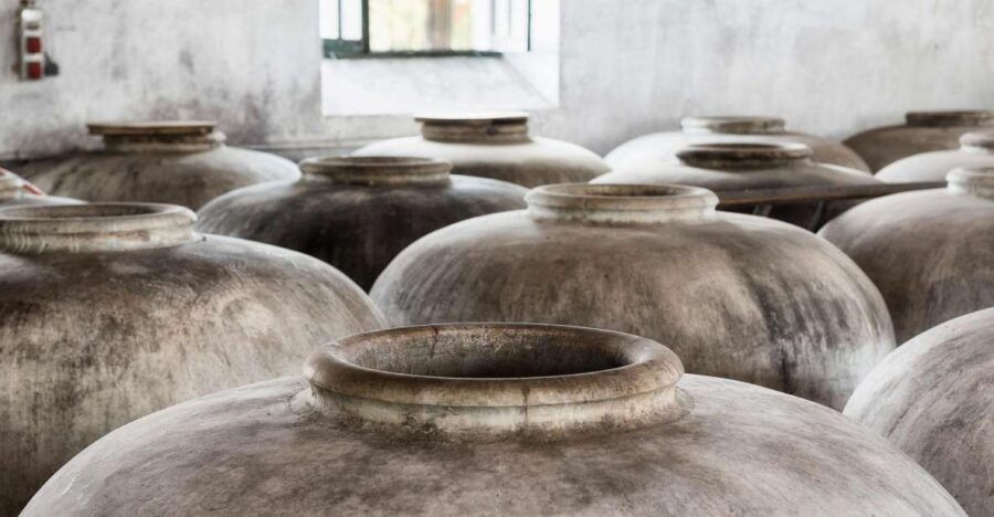 guided-tour-of-oil-mill-and-winery