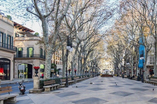 guided-tour-palma-old-town-and-cathedral-visit