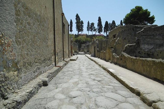herculaneum-and-the-archeological-museum-of-naples-private-tour-from-rome