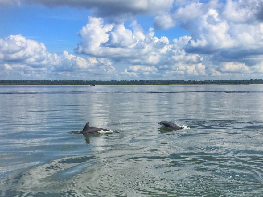 Hilton Head Island: 2-Hour Guided Creek Cat Tour