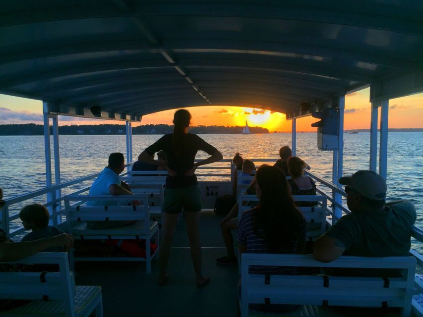 Hilton Head Island: Dolphin Tour at Sunset & Fireworks Show
