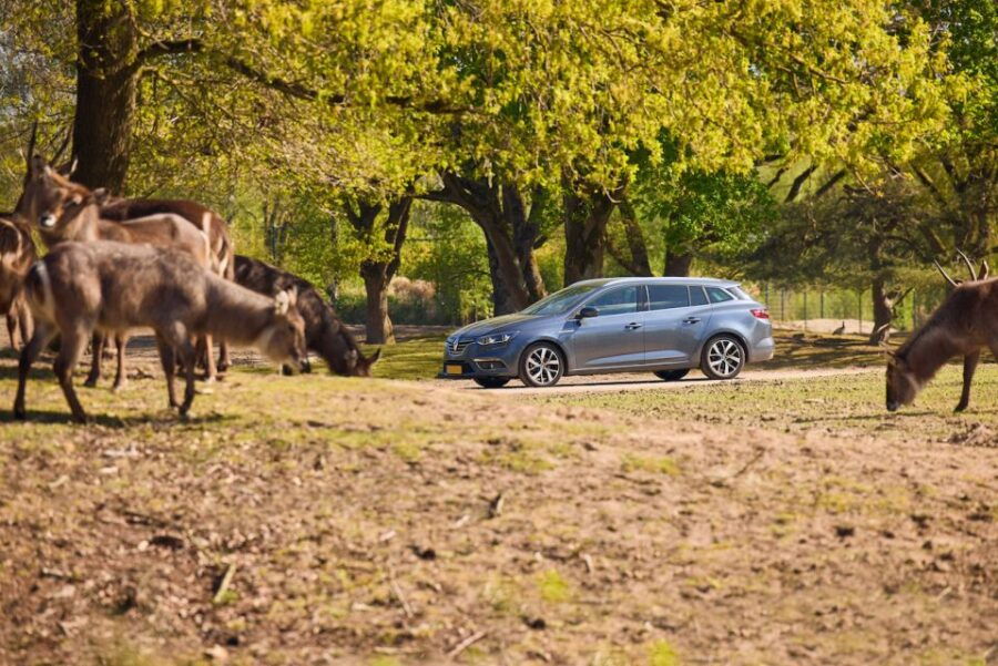 hilvarenbeek-beekse-bergen-safari-park-entry-ticket