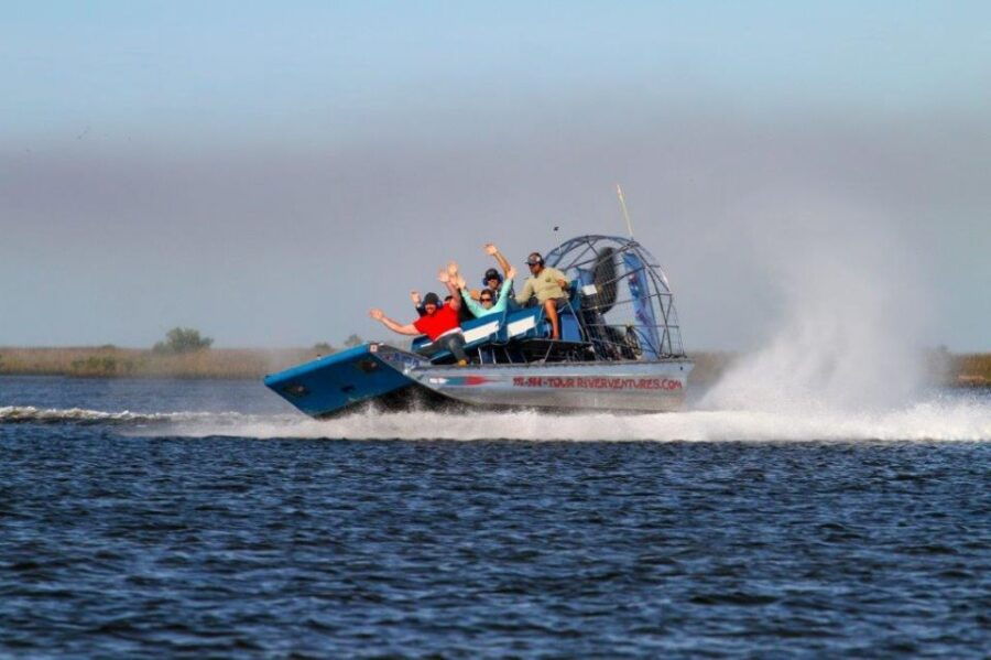 Homosassa: Gulf of Mexico Airboat Ride and Dolphin Watching
