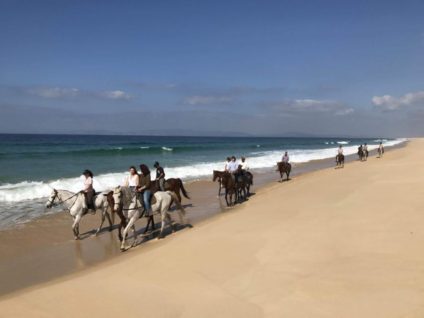 horse-riding-on-the-beach-with-private-transfer-from-lisbon-2