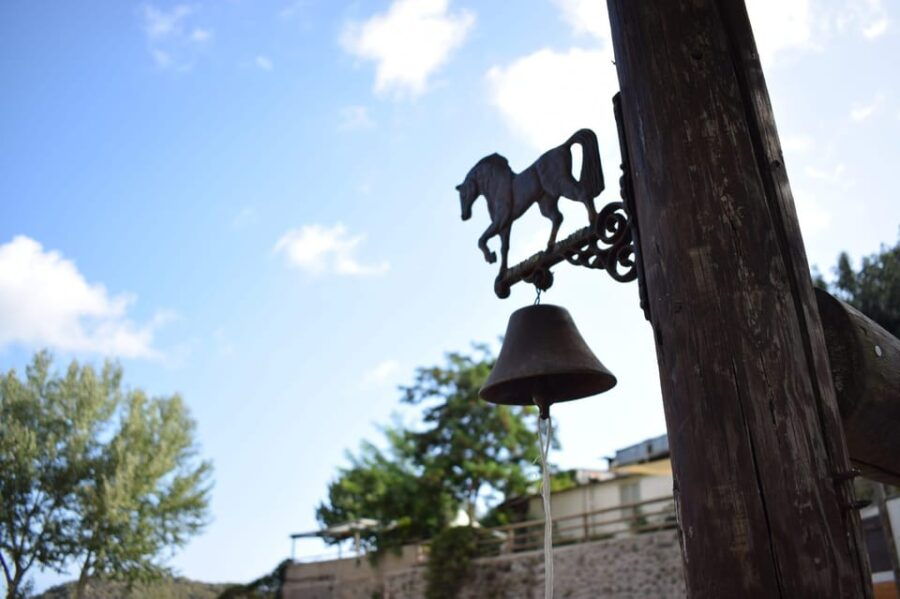 horseback-excursion-in-the-maddalena-woods