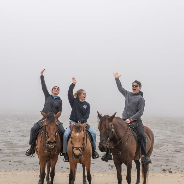 horseback-riding-trough-the-beach-group-pdt