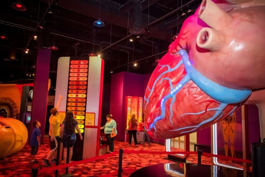 Houston: 1-Day or 3-Day Museum Pass