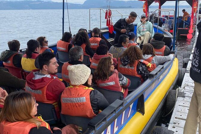 huilo-huilo-hot-springs-tour-from-valdivia-with-lunch